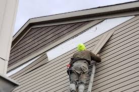 Best Custom Trim and Detailing for Siding  in La Huerta, NM